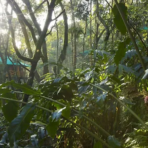 ** Resort Dream Catcher India